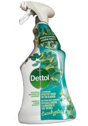 ДЕТОЛ ЕВКАЛИПТ УНИВЕРСАЛЕН ПОЧИСТВАЩ СПРЕЙ 750 МЛ 