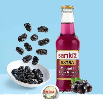 САРИКИЗ СОДА С ВКУС НА ГОРСКИ ПЛОДОВЕ 6 Х 200 МЛ