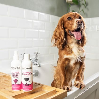 АНИМОЛОДЖИ ТУТИ ФРУТИ КУЧЕШКИ СПРЕЙ ПРЕДНАЗНАЧЕН ДА ПОДЪРЖА КОЗИНАТА ИМ 250 МЛ 