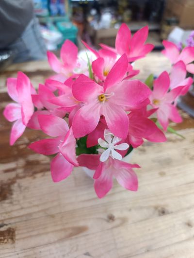 ИЗКУСТВЕНИ ЦВЕТЯ В САКСИЯ ЯТРОФА