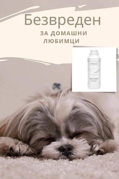  ПРУВЕ ШАМПОАН ЗА КИЛИМИ ТАПИЦЕРИИ ДАМАСКИ 500 МЛ